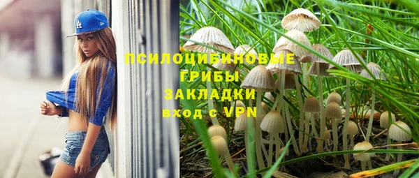МДПВ Абинск