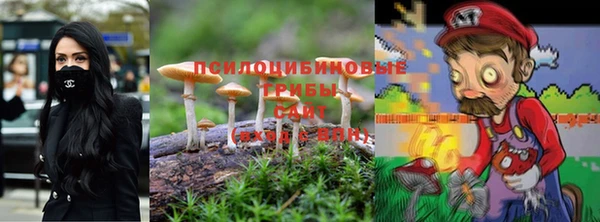 МДПВ Абинск